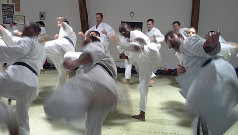 Photo 1 - Cours au Dojo