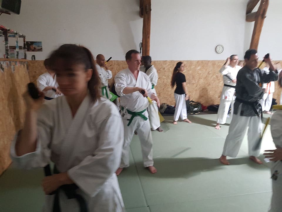 Stage de Nunchaku du 31 Janvier 2020 - Photo 14